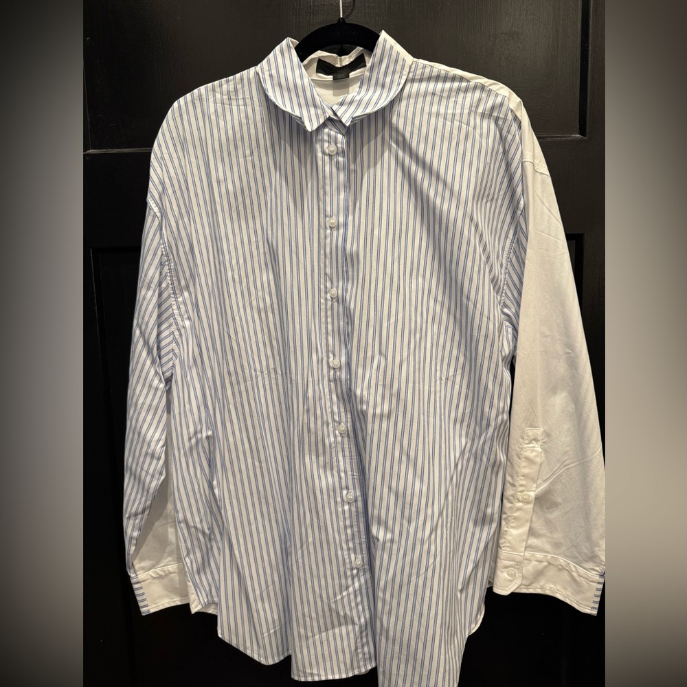 Zara Blue & White Striped Button-Up Shirt (Size M)